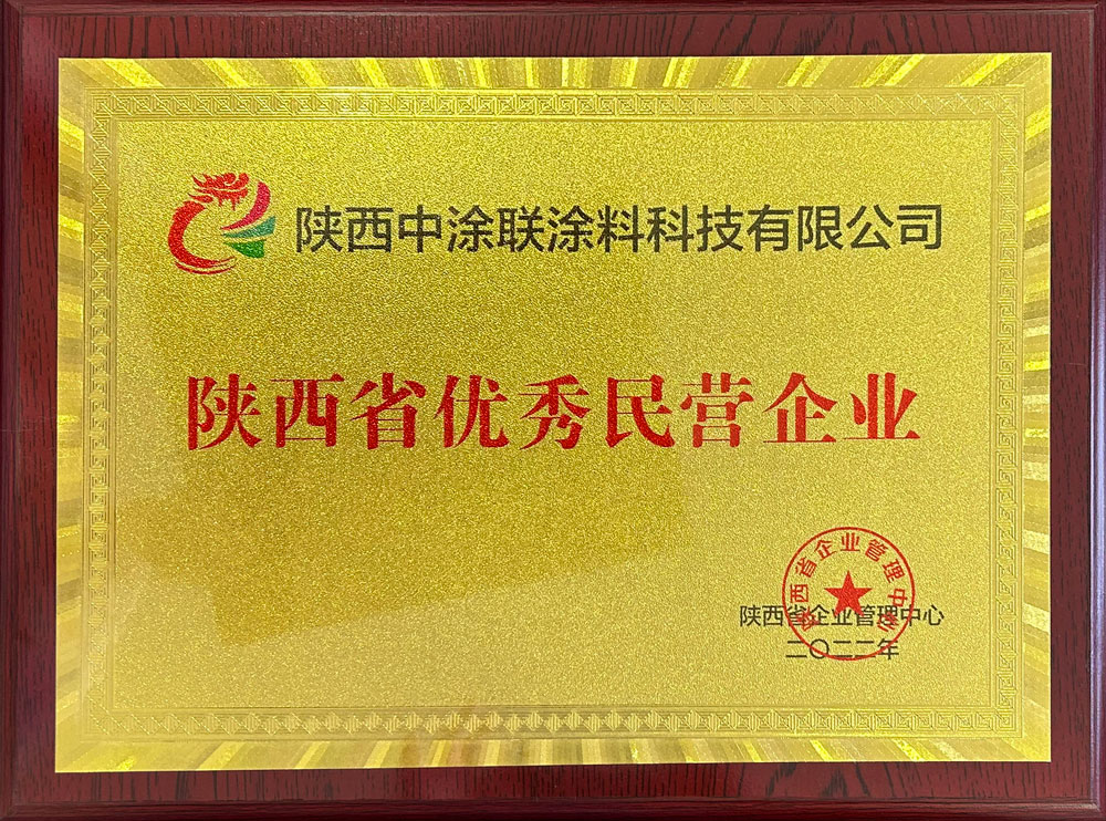 陕西省优秀民营企业